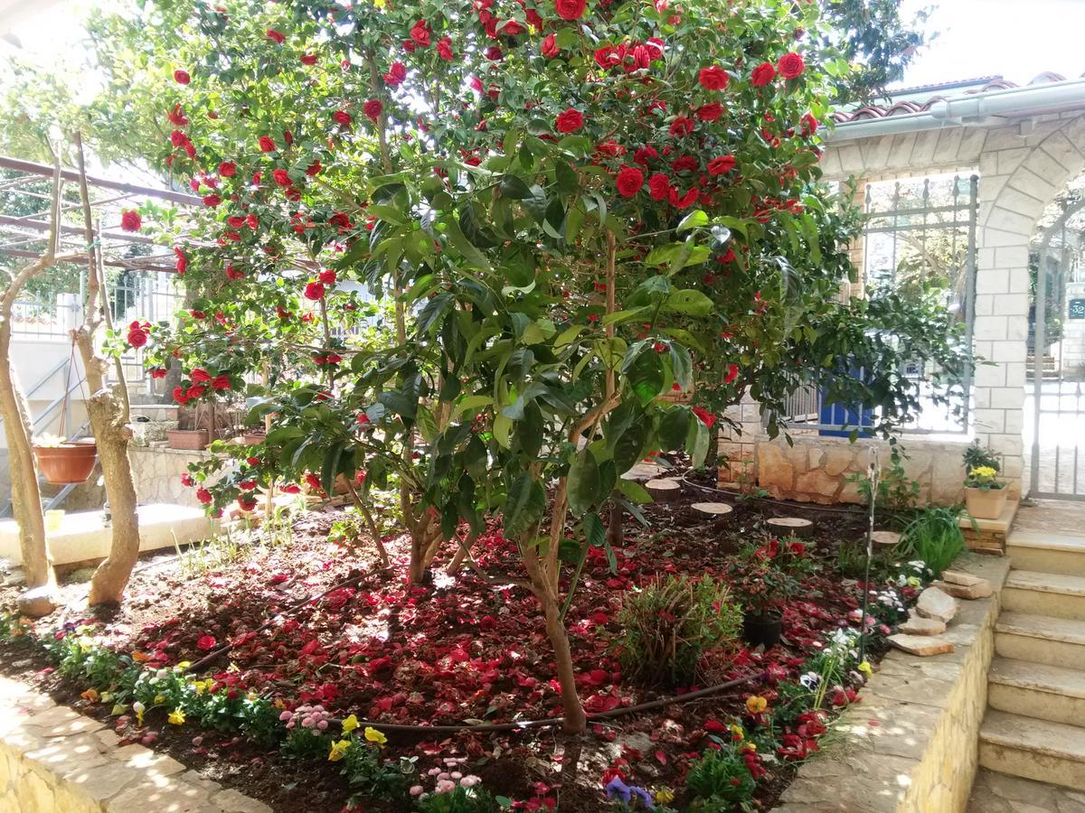 Apartments Villa Mavero Banjole Εξωτερικό φωτογραφία